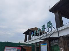 -大湾区中央湿地公园