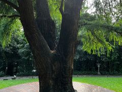 -广州兰圃