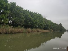 -大湾区中央湿地公园