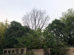 -鹦鹉寺公园