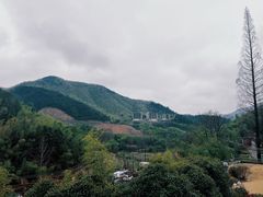 -莫干山风景区