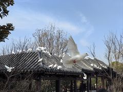 -东台西溪天仙缘景区