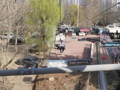 -富斯特索道