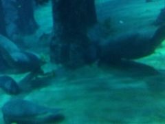 android_upload_pic-河川生态园