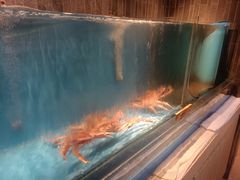 -锅物新语&寿喜烧.炉端割烹(世博源店)