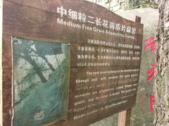 -罗田薄刀峰风景区