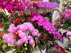 -花屿鲜花(淡水店)