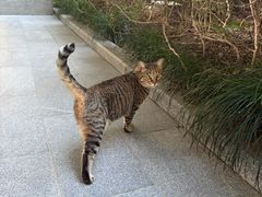 -陆家嘴世纪金融广场