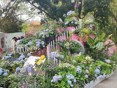 -深圳仙湖植物园