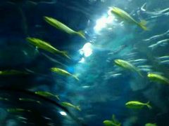 -福州罗源湾海洋世界旅游区