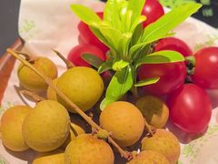 -季季山·云南野生菌火锅(上海首店)