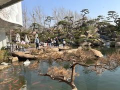 -罗红摄影艺术馆