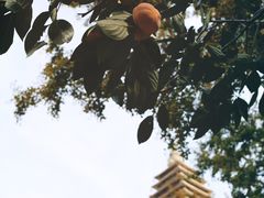 -北京石刻艺术博物馆(五塔寺)