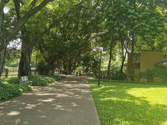 -晓港公园