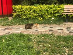 -中国中医科学院针灸医院