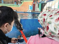 -海合安武汉极地海洋公园