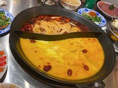 -朱光玉火锅馆(正弘城店)