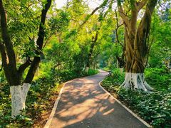 -广西壮族自治区药用植物园