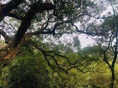 -安溪清水岩