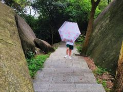 -火炉山森林公园