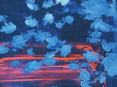 -杭州野生动物世界