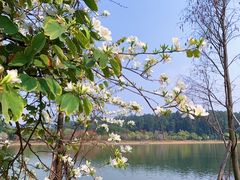 -南国桃园旅游度假区