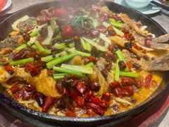 -老板恋上鱼(恒隆广场店)