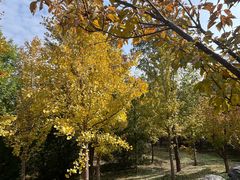 -阳台山自然风景区