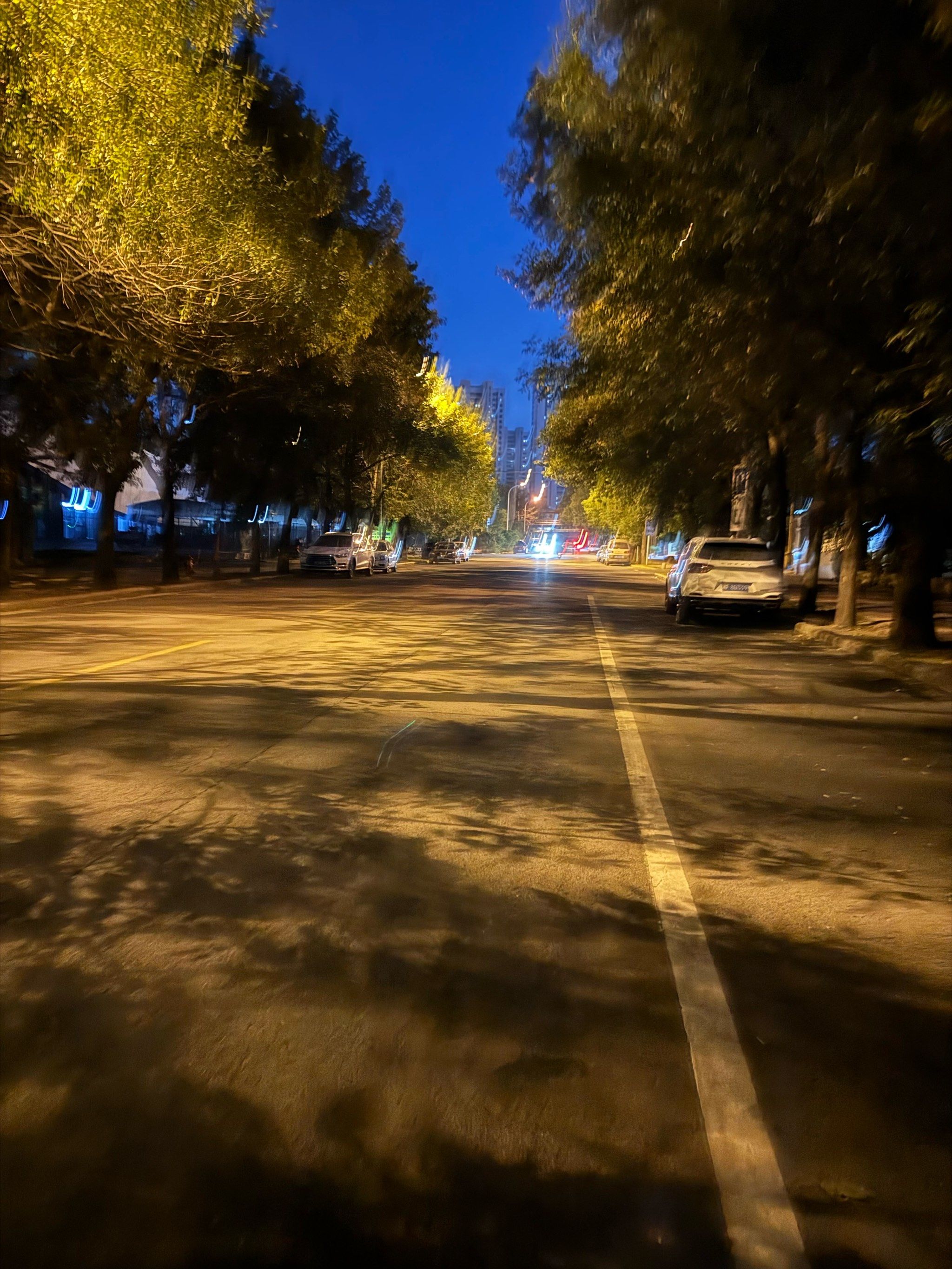 夜跑加点音乐劲