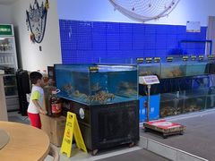 -蟹老板的海鲜
