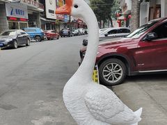 -巢湖名吃·东关老鹅汤(江南风情街店)