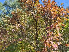 -森林公园(尖草坪区)