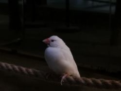 -酷嗒动物文化乐园(cutezoo西溪乐天城店)