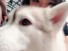 -TrueLove @ Neverland (Husky Cafe)
