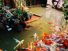 -正佳雨林生态植物园