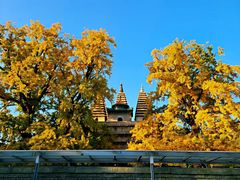 -北京石刻艺术博物馆(五塔寺)