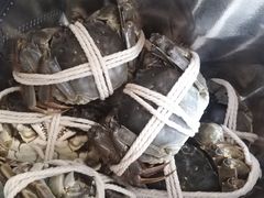 -阳澄湖大闸蟹·琼灵阁牌品牌连锁(吴中总店)