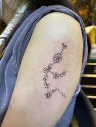 -MDZ STORE·TATTOO·耳饰