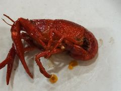 -指爱龙虾(金杨路总店)