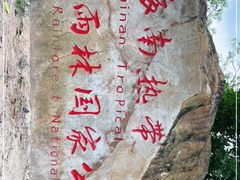 -海南热带雨林国家公园吊罗山景区