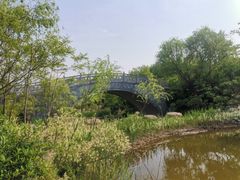 -江苏三台山国家森林公园