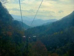 -王顺山国家森林公园