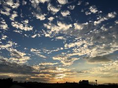 -呈贡滇池生态湿地公园