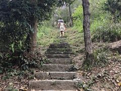 -青龙山国家森林公园
