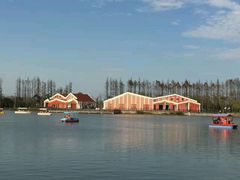 -上海长兴岛郊野公园