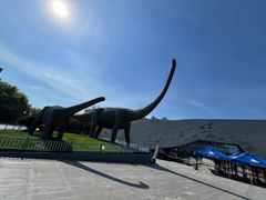 -安徽省地质博物馆