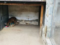 -北京市海淀外国语实验学校