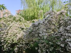 -元大都城垣遗址公园