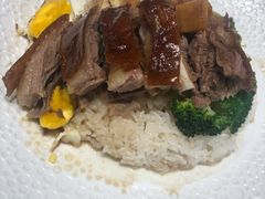 招牌烧鹅饭-小鹅皇港式餐厅(新抚万达店)