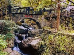 -桃花岛风景旅游区